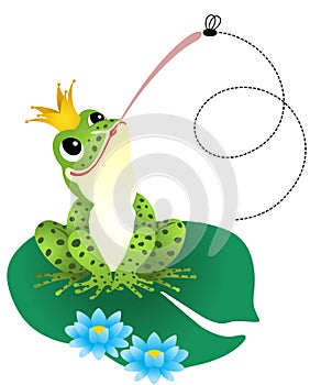 Frog catching a fly