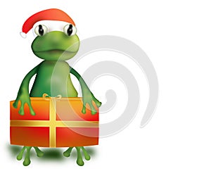 Frog with Christmas present