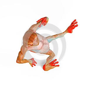 Frog is dancing in isometric view