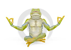 Frog is doing yoga
