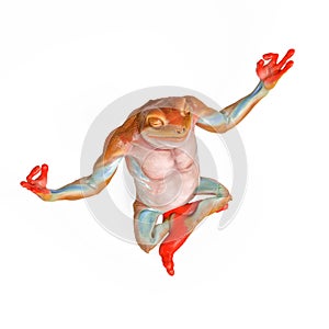 Frog is doing yoga in isometric view