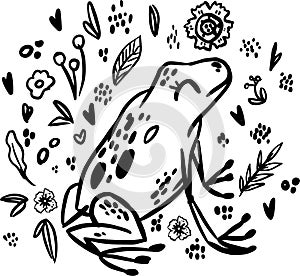 Frog doodle hand drawn coloring page. Cartoon abstract animal in scandinavian style. Wild rainforest animal. Grass branches with