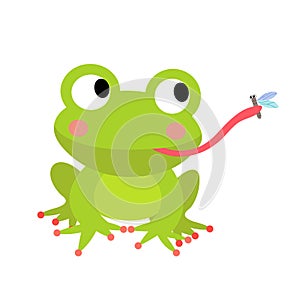 Frog eating fly animal cartoon character vector illustration