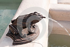 Bronze frog throwing water into a fountain, Strzelce Opolskie, poland, Europe photo