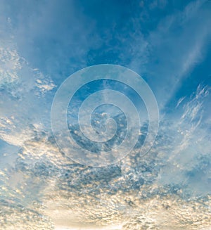 Frog eye view of cirrocumulus and cirrostratus clouds