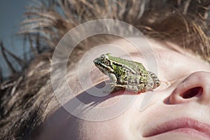 Frog on face