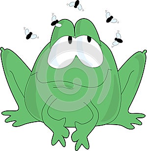 Frog Flies