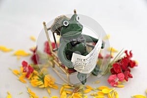 Frog with flowers and newslatter