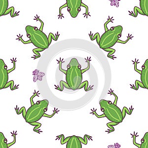 Frog with fly seamless pattern. Vector Hand drawn green character illustration isolated on white background. Cartoon