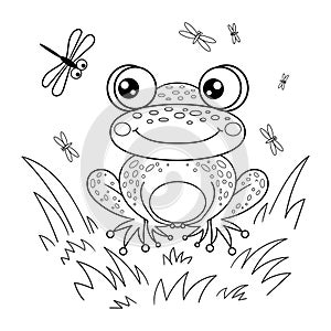 Frog in the grass. Black and white drawing. Vector