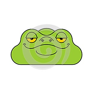 Frog head isolated. Toad face vector illustration