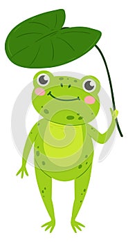 Frog hold lily leaf. Rain mascot. Smiling animal