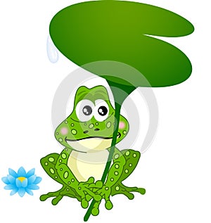 Frog Holding Water Lily Leaf