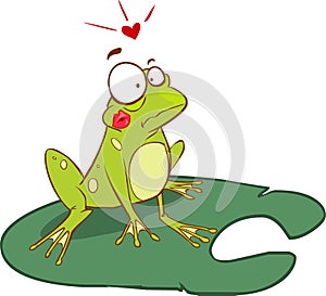 Frog illustration