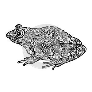 Frog isolated. Black and white ornamental doodle frog illustration with zentangle decorative ornament