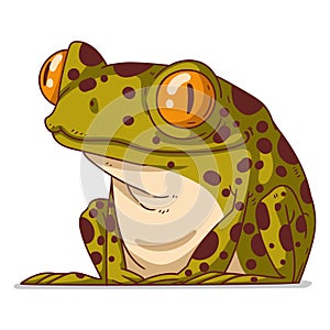 A Frog, isolated vector illustration. Cute cartoon picture for children of a froglet sitting photo