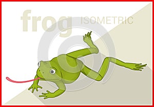 Frog isometric flat vector 3d