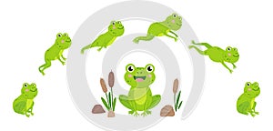 Frog jump. Animation of jumping animal, green cartoon frogs desogn. Aquatic toad in swamp with reeds. Wild neoteric