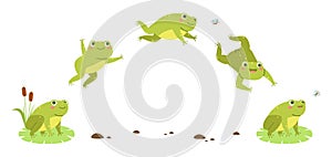 Frog jump. Funny toad step hop sequences, amphibian character moving animation phases, jumping water animal, 2d photo