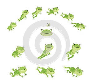 Frog jump. Isolated jumping green frogs, motion process animation. Sequence movement character. Cute cartoon toad leap