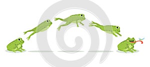 Frog jump. Various frog jumping animation sequence, jump green toad keyframes, funny water animals hunting insects, cartoon vector
