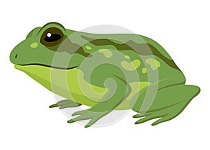 Frog jumping animation icon. Sequences or footage for motion design. Cartoon toad jumping, animal movement concept. Frog