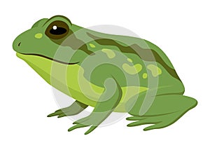 Frog jumping animation icon. Sequences or footage for motion design. Cartoon toad jumping, animal movement concept. Frog