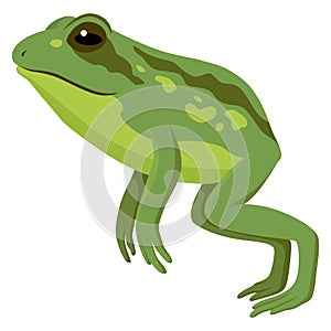 Frog jumping animation icon. Sequences or footage for motion design. Cartoon toad jumping, animal movement concept. Frog