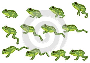 Frog jumping animation icon set. Sequences or footage for motion design. Cartoon toad jumping, animal movement concept