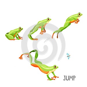 Frog jumping by sequence cartoon vector illustration