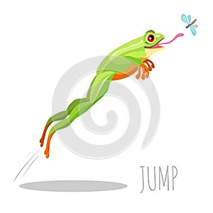 Frog jumping to catch fly isolated on white icon
