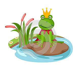 The frog king on a white background,vector