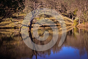 Frog Lake at Henry W Coe State Park near Morgan Hill CA