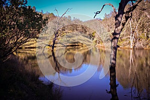 Frog Lake at Henry W Coe State Park near Morgan Hill CA