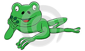 Frog laying down