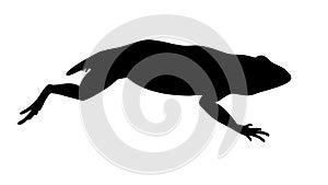 Frog Leaping Silhouette Vector Illustration Wildlife Animal, vector design Generative AI photo