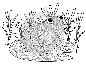 Frog on a lily in the swamp coloring book for adults vector