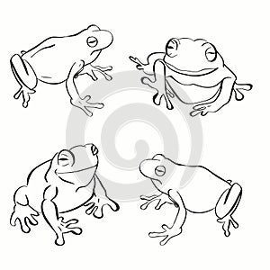 Frog outline, frog line art, frog outline svg