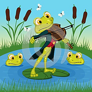 Frog plays the violin photo