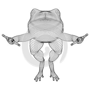 Frog polygonal lines illustration.