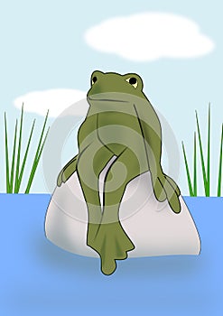 Frog in the Pond