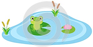 Frog in the pond vector illustration. Cute frog cartoon character design. Amphibian clip art sitting on a leaf in a pond or swamp.