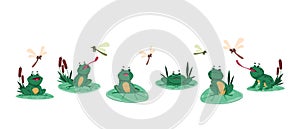 Frog poses. Cartoon green aquatic animal sitting on water lily leaves, funny froglet hunting and catching dragonfly with