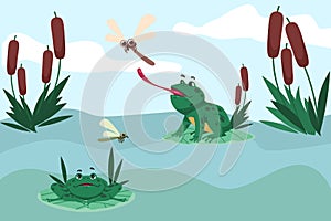 Frog poses. Cartoon green toads sitting on water lily leaves. Wild amphibian catching dragonfly. Funny happy froglets