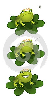 Frog Prince