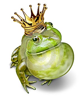 Frog Prince Communication