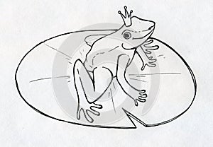 Frog prince
