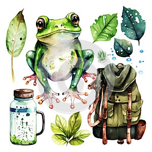 Frog Prince: Watercolor Collection of Cute Frog Stock Photo