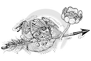 The frog princess. Amphibian sits on a water lily leaf and holds an arrow. Russian fairytale. T shirt print, tattoo