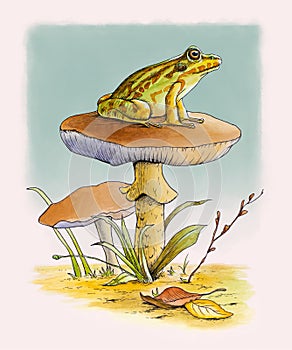 Frog resting on a mushroom